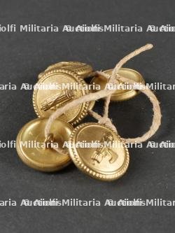 Lot de passementerie du PNF. Lot of PNF trimmings. — miniature 13