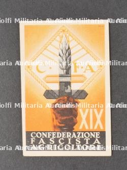 Lot de cartes de membres d’associations fascistes. Batch of membership cards for fascist associations. — miniature 4