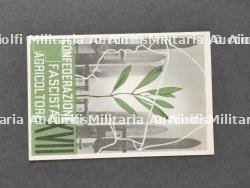 Lot de cartes de membres d’associations fascistes. Batch of membership cards for fascist associations. — miniature 22