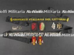 Lot d’insigne des Jeunesses Fascistes. Lot of Jeunesses Fascistes badges.
