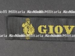 Lot d’insigne des Jeunesses Fascistes. Lot of Jeunesses Fascistes badges. — miniature 14