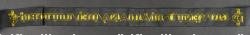 Lot d’insigne des Jeunesses Fascistes. Lot of Jeunesses Fascistes badges. — photo 15