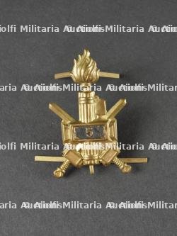 Insigne de casque tropical de la 5ème Division de Chemises Noires. Tropical helmet badge of the 5th Blackshirt Division. — photo 1