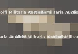 Insignes Afrikakorps. Afrikakorps badges.