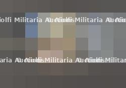 Insignes du DLV. DLV badges.