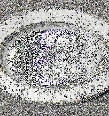 1300_1
