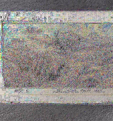 - Lot 1007