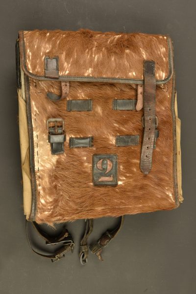 – Lot 1246