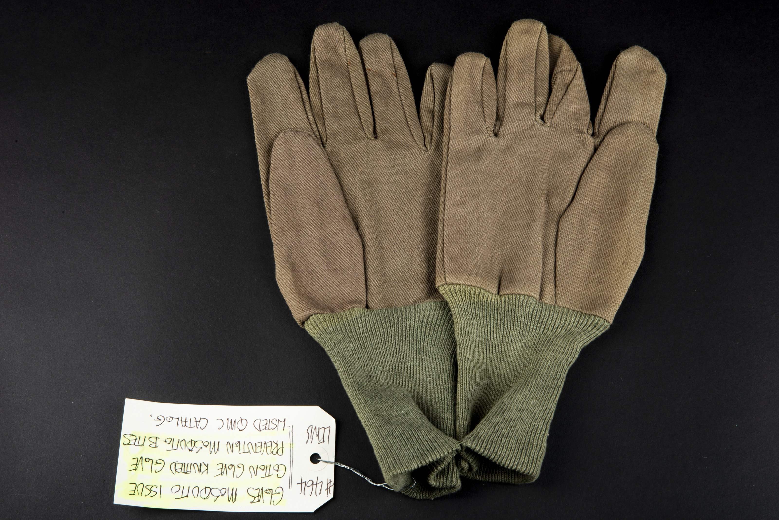 Gants anti-moustiques. Gloves mosquito issue.