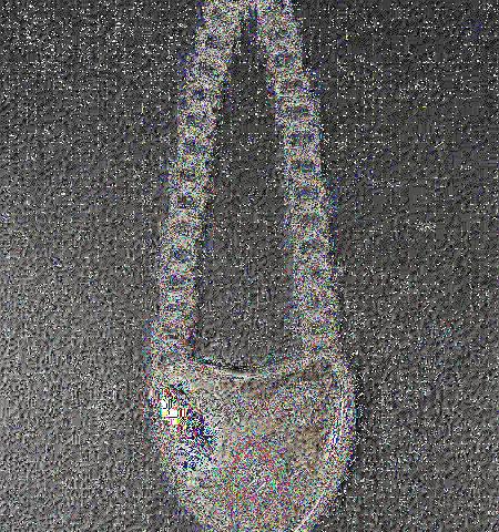 - Lot 1296