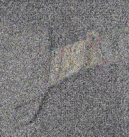 - Lot 1298