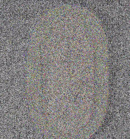 - Lot 213