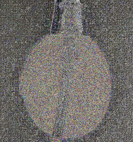 - Lot 2460