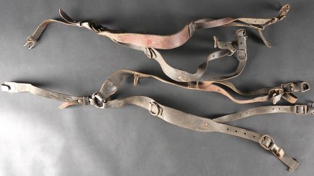 - Lot 257