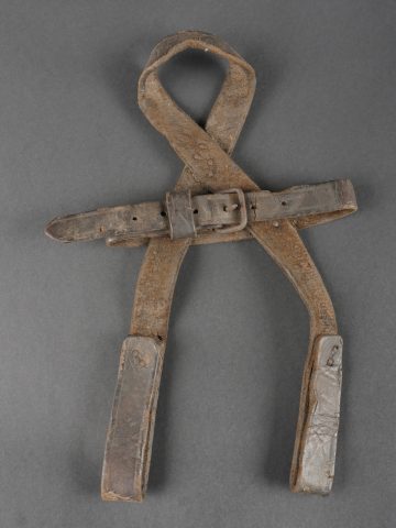 - Lot 265