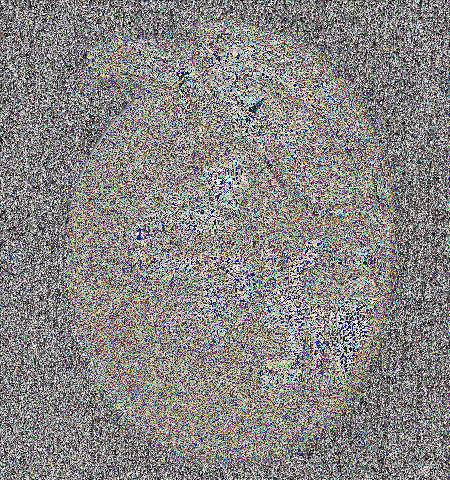 - Lot 398