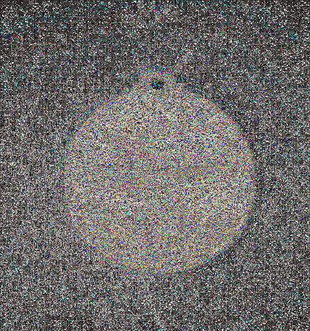 - Lot 4069