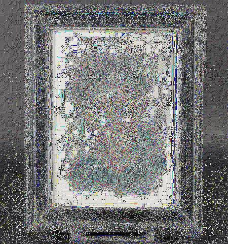- Lot 4646