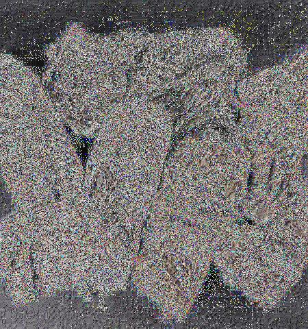 - Lot 938