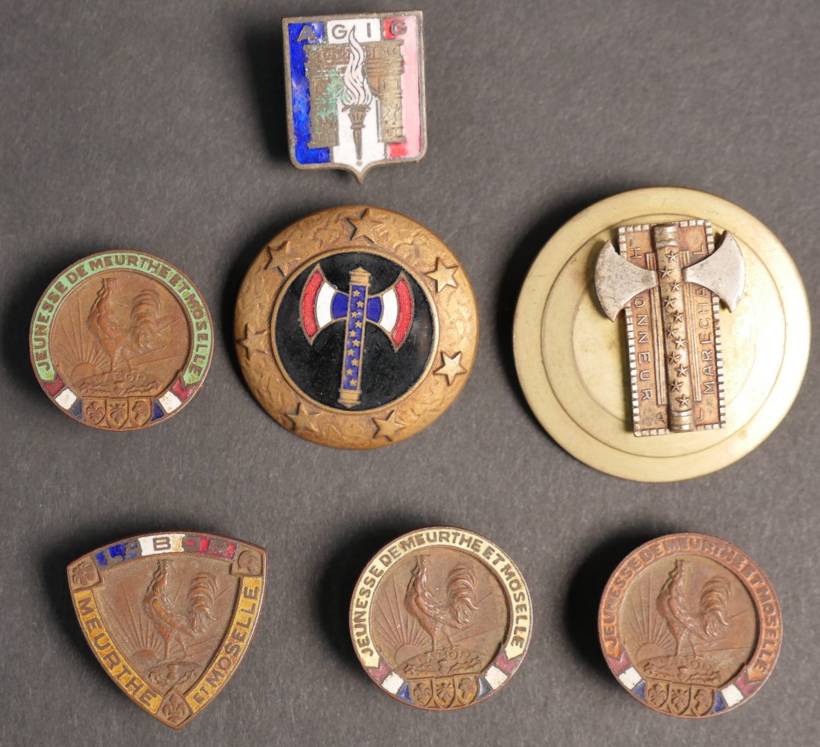 France - Insigne emaille LE SOUVENIR FRANCAIS