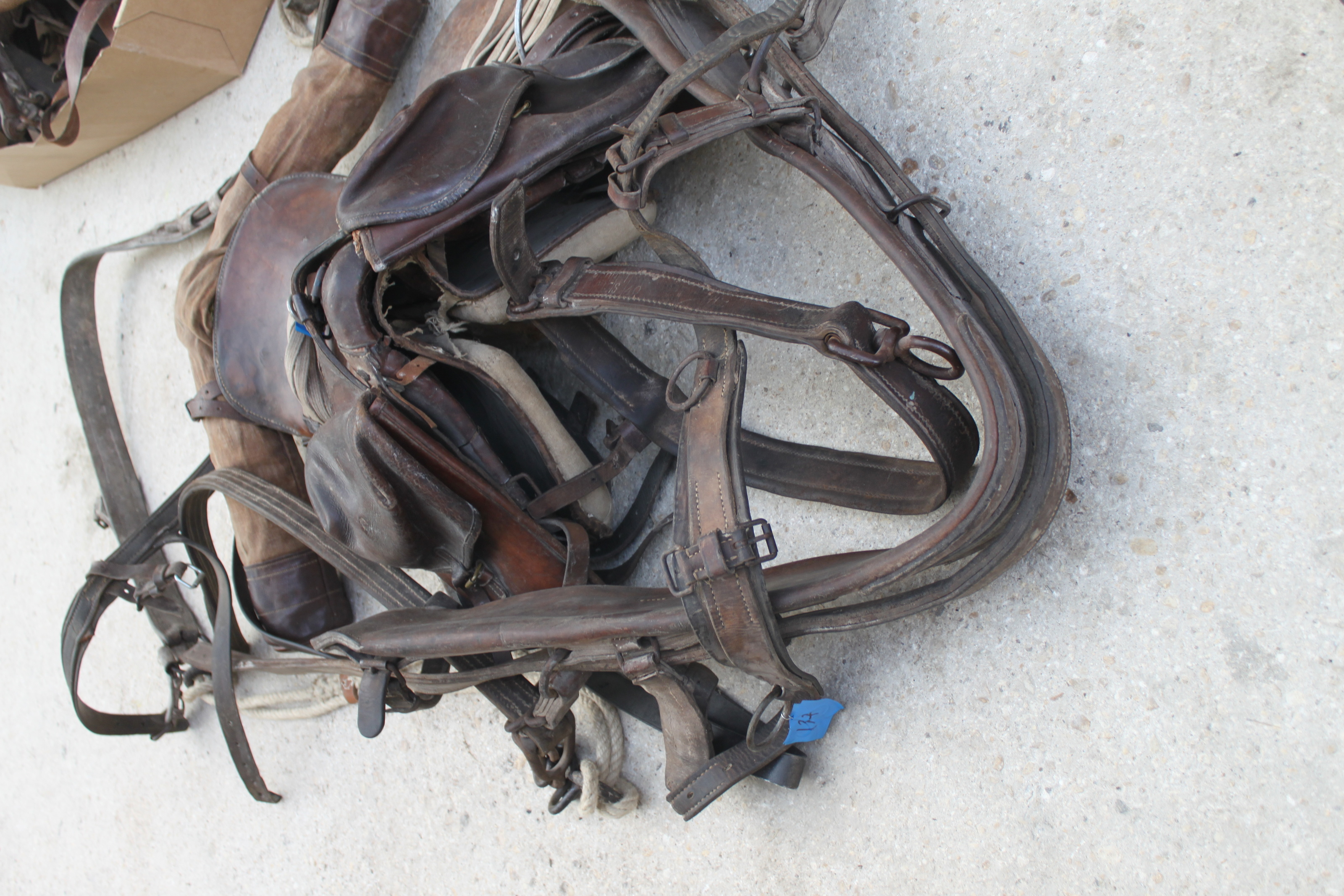 Les partes d'une selle western - traducton des termes