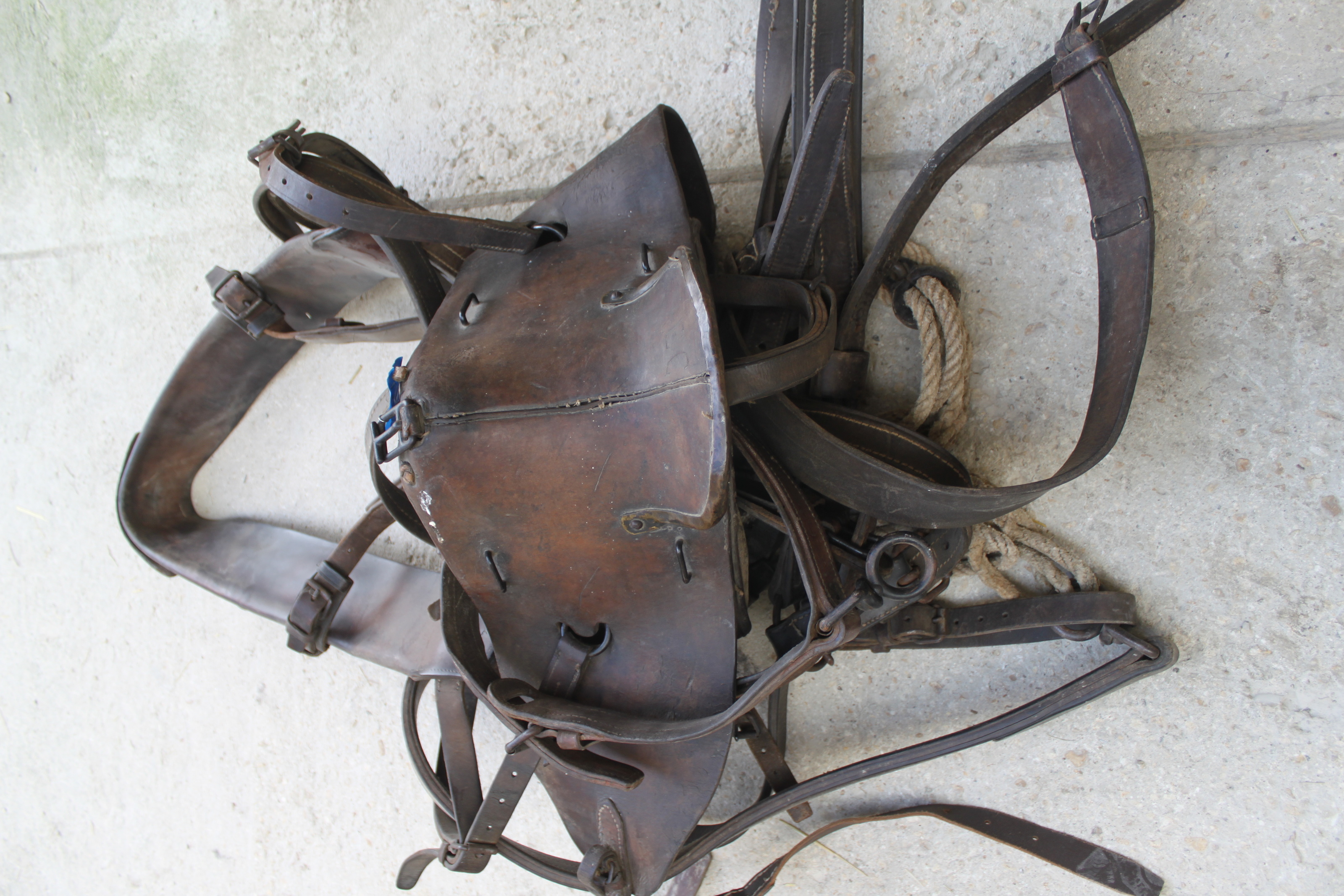 Lot De Cordes De Selle Cheval Weaver Leather – 48WL, Cuir Tisserand Bordeaux Latigo