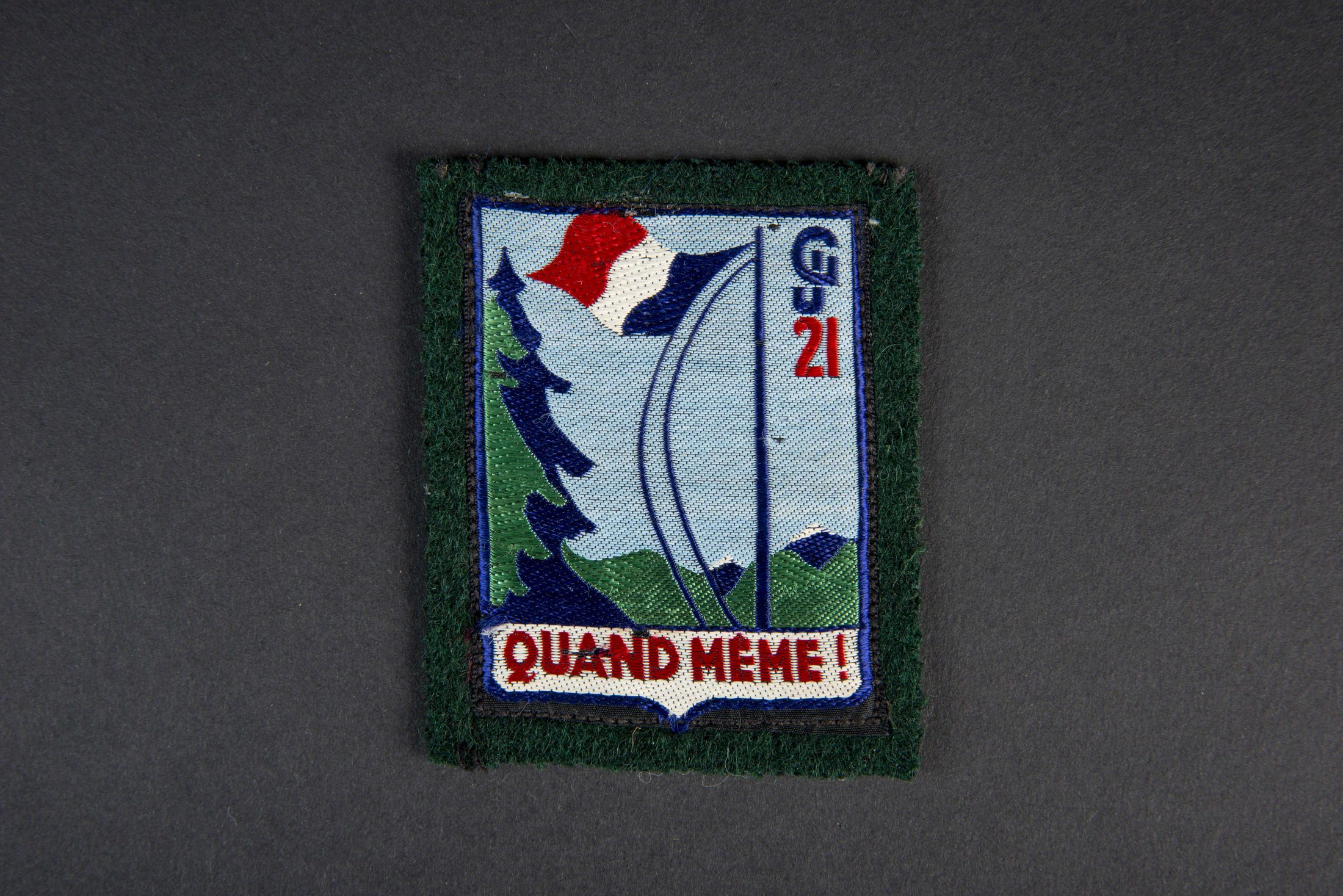 Ensemble d'insignes et de diplômes du Groupement 21 | Aiolfi G.b.r.