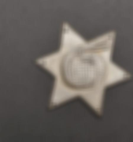 Insigne U 176. U176 insignia. Aiolfi G.b.r.