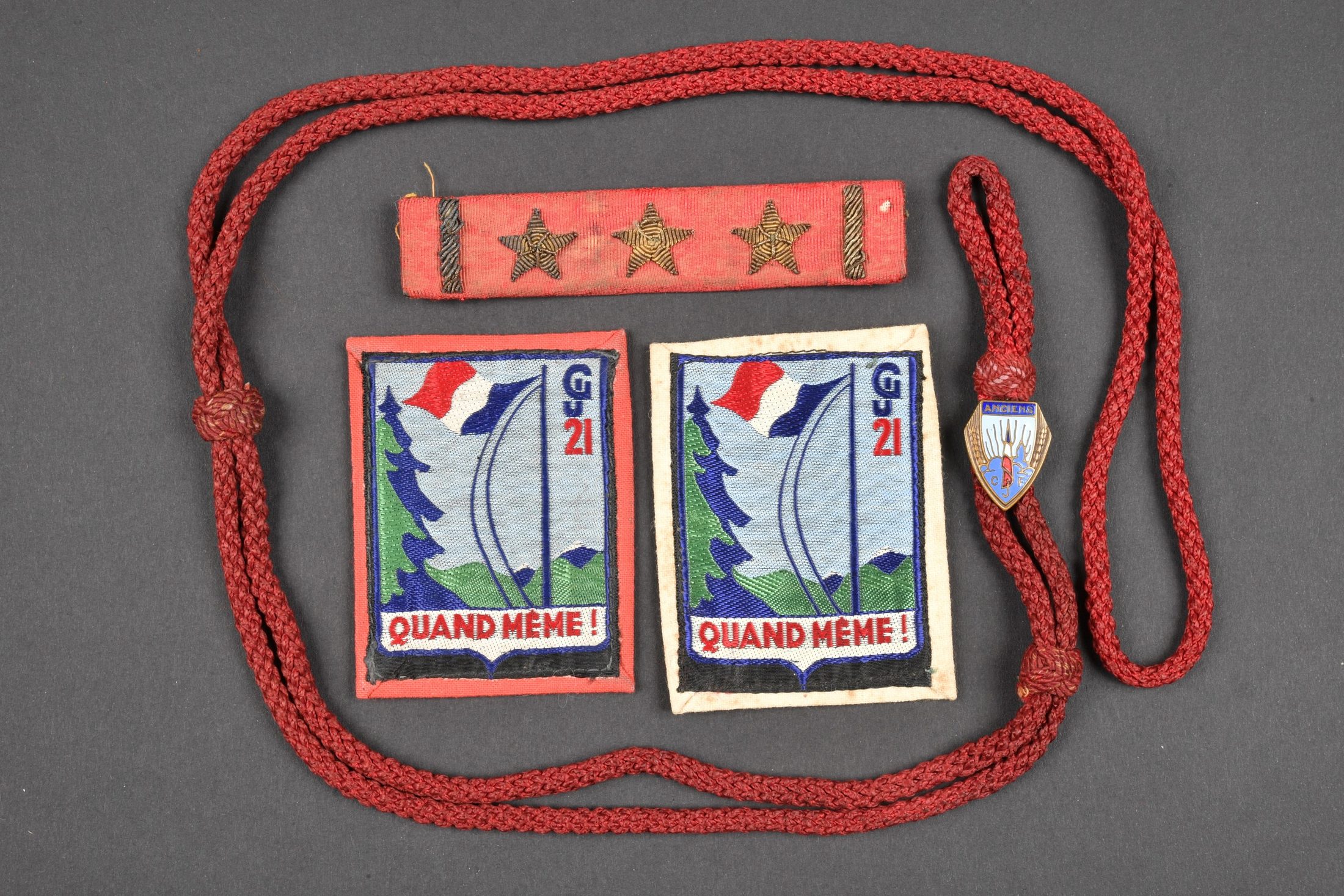 Ensemble d'insignes du Groupement 21 | Aiolfi G.b.r.